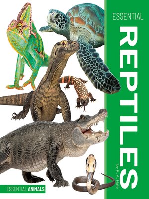 cover image of Essential Reptiles